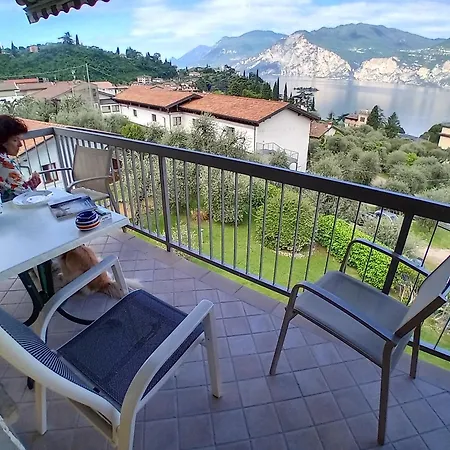 Andreis مالتشيزينيه